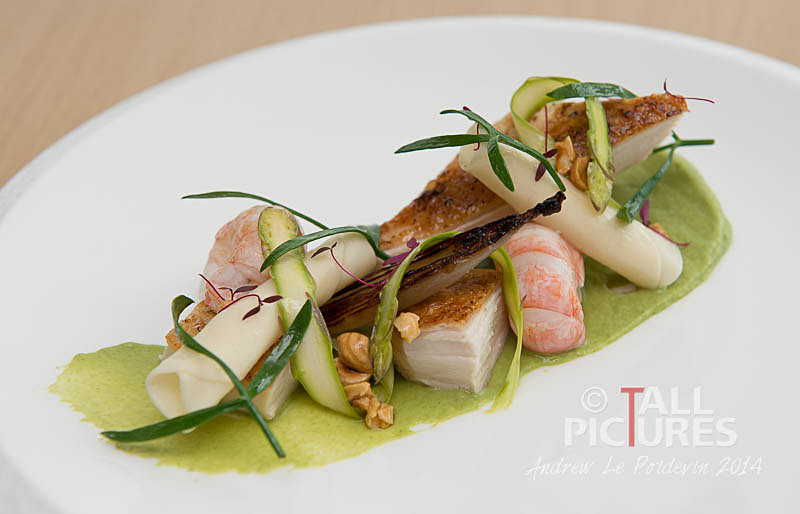 365CookBook-1 - 365COOKBOOK PHOTOSHOOT