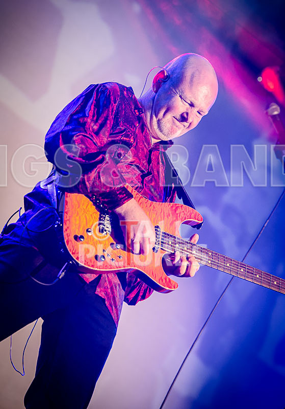 The Bowie Experience-57 - THE BOWIE EXPERIENCE