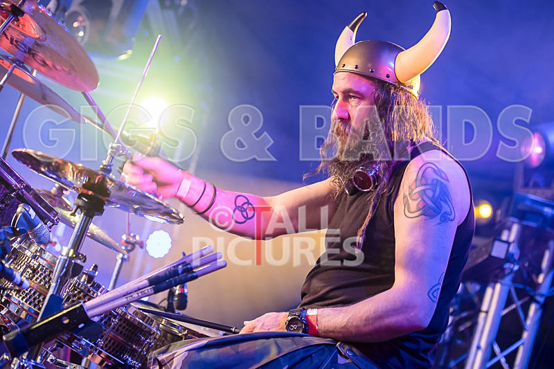 Peppered Ant Legs-239 - PEPPERED ANT LEGS