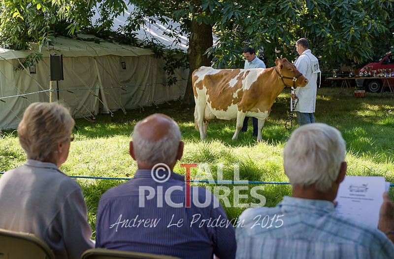 North Show_2014-27 - NORTH SHOW 2014