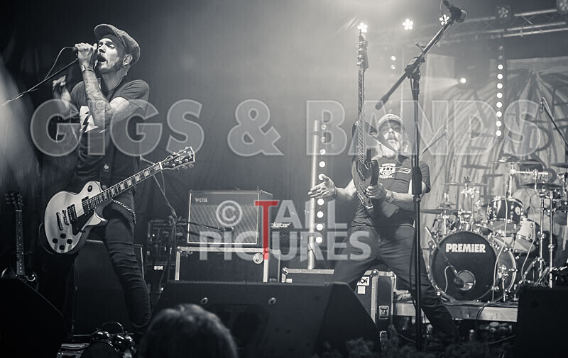 The Electric Shakes-205 - THE ELECTRIC SHAKES