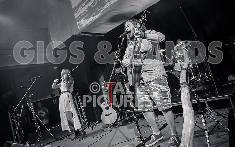 Buffalo Huddleston-558 - BUFFALO HUDDLESTON