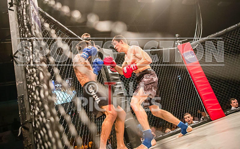 BOUT-5- Dane Sutton v David Balint-26 - BOUT-5 Dane Sutton v David Balint