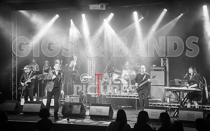 Harry Dean Junior and the New Breed-43 - HARRY DEAN JUNIOR AND THE NEW BREED