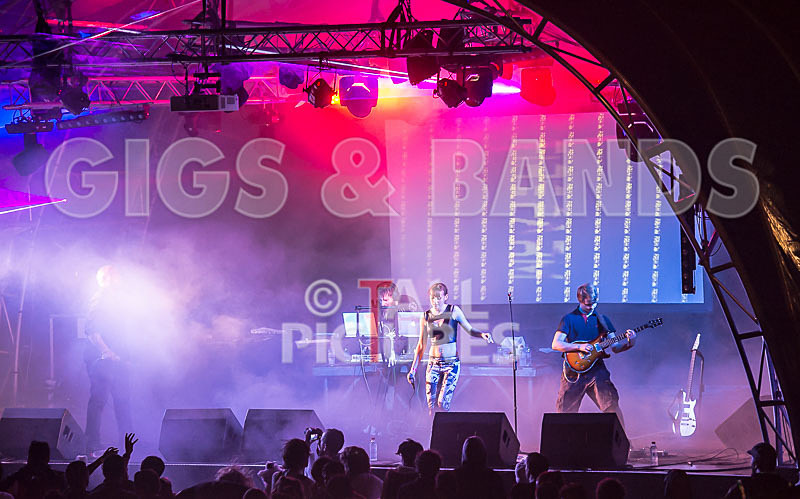 FireFarm-13 - FIREFARM