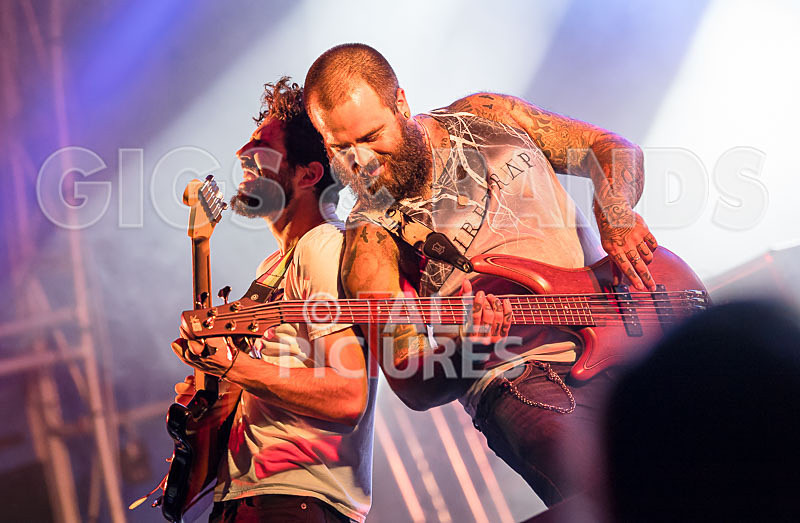 Static Alice-558 - STATIC ALICE