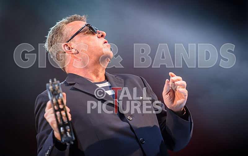 Madness-68 - MADNESS