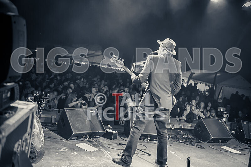 Ruts DC-55 - RUTS DC