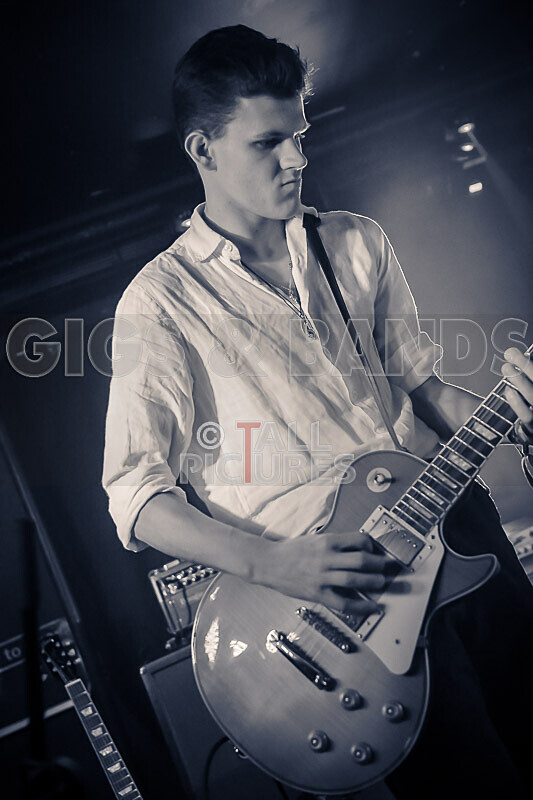 Black Dog-29 - BLACK DOG