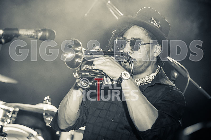 The Rectory Hill Skillet Lickers-14 - VALE EARTH FAIR UNPLUGGED 2018