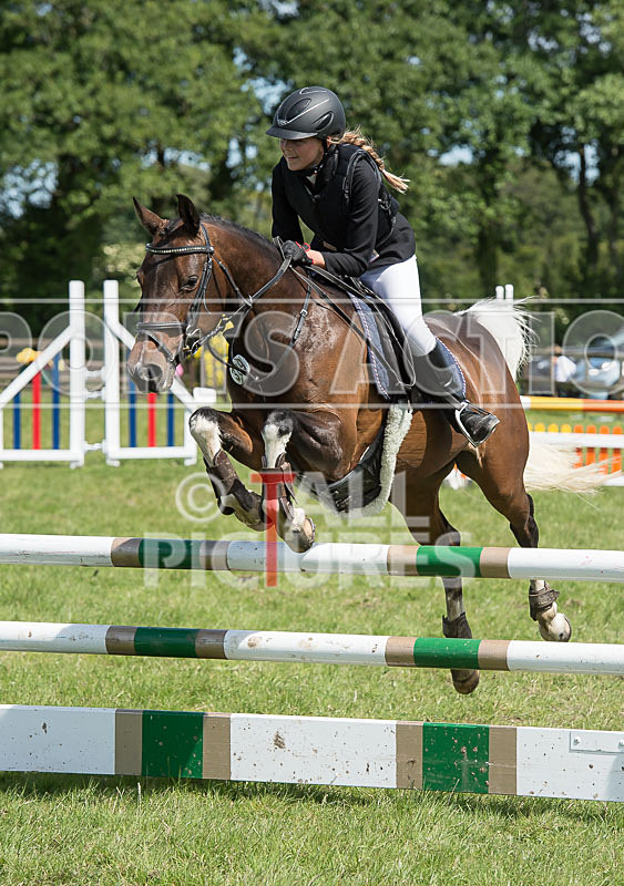 Showjumping_Derby Show_2014-5 - BRITISH SHOWJUMPING GUERNSEY DERBY SHOW 2014