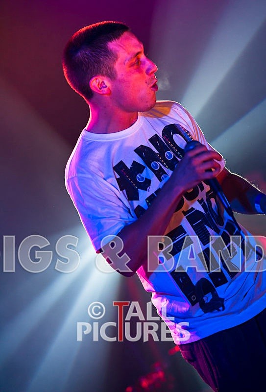 Asylum Seekas-8 - ASYLUM SEEKAS AT IVY CASTLE