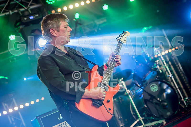 Frail Sincerity-8 - FRAIL SINCERITY