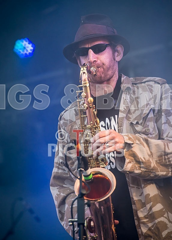 Sons of the Desert-199 - SONS OF THE DESERT