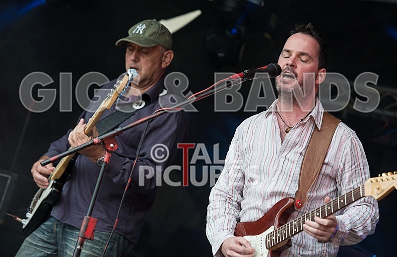 Wild Card-118 - WILD CARD