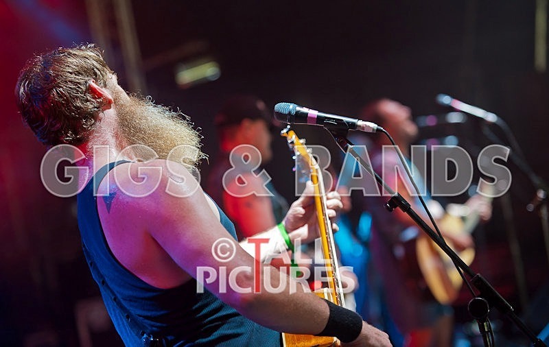 Hayseed Dixie-39 - HAYSEED DIXIE