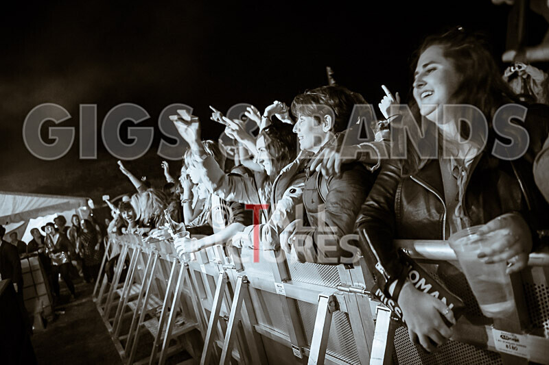 Vale Earth Fair 2020_THE SCENE-9 - VALE EARTH FAIR 2020_THE SCENE