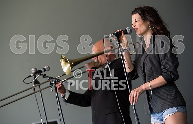 Kitten  The Hip-7 - KITTEN & THE HIP