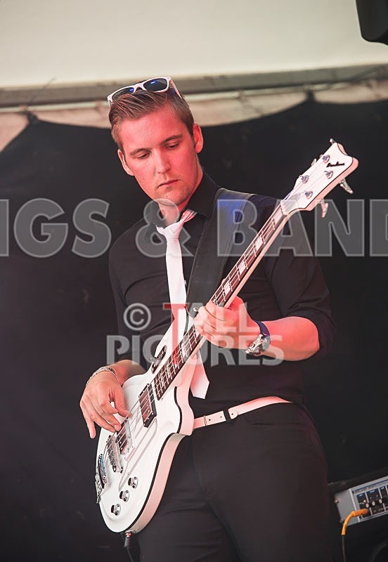 Surfin Birds-6 - THE SURFIN' BIRDS