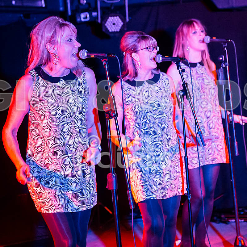 The Blondettes-33 - THE BLONDETTES