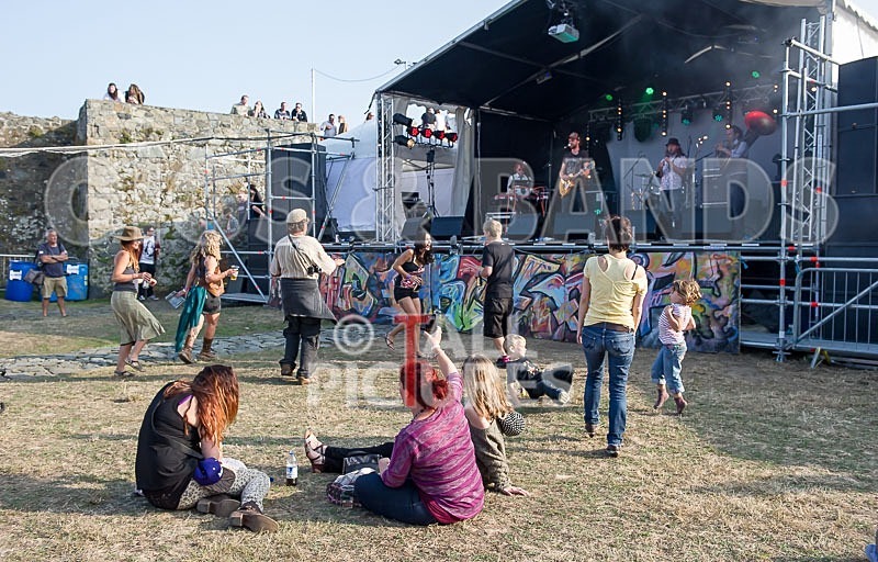 Vale Earth Fair_2013_Atmosphere-45 - VALE EARTH FAIR 2013_THE ATMOSPHERE