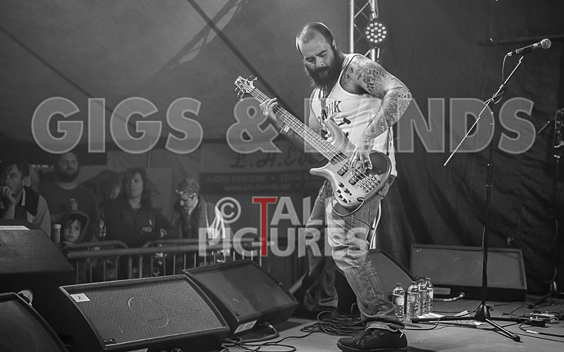 Static Alice-453 - STATIC ALICE