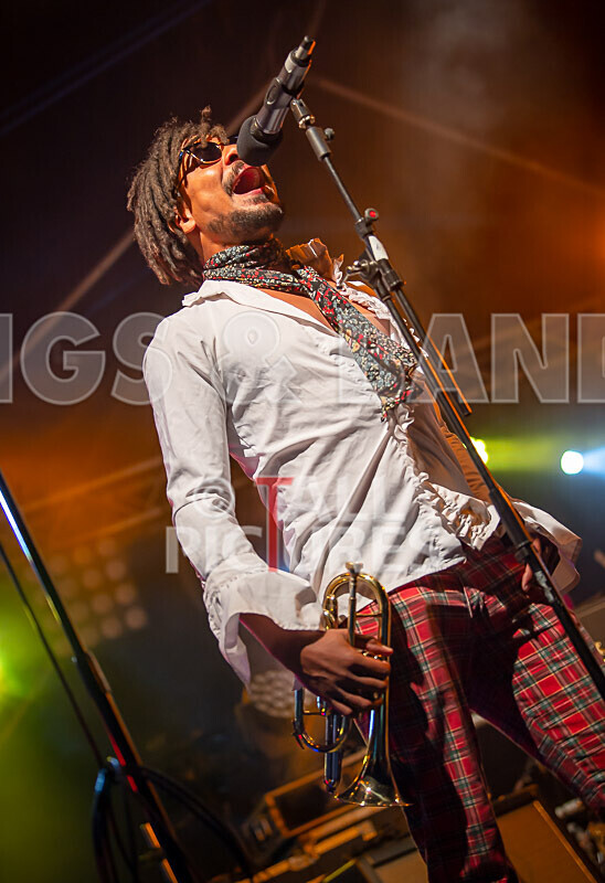 The Recks-954 - THE RECKS