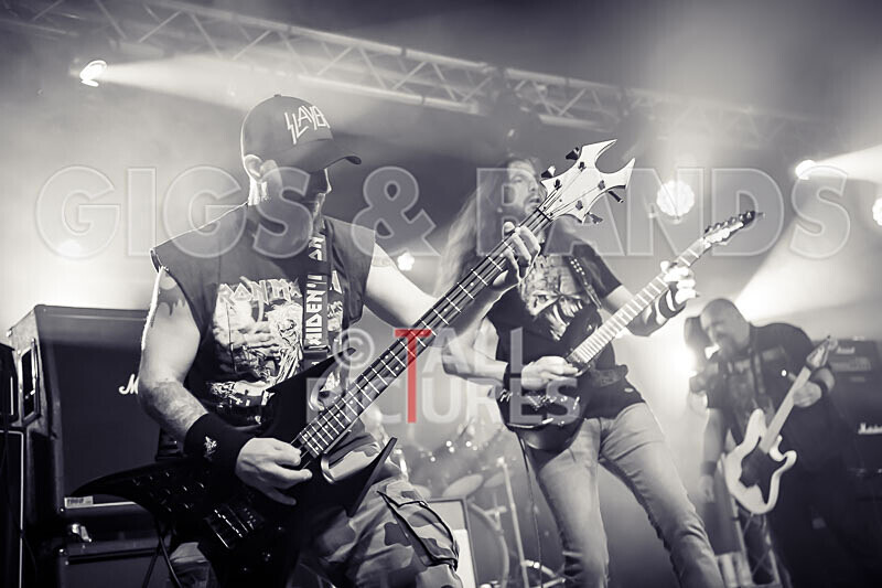 Maiden Guernsey-254 - MAIDEN GUERNSEY