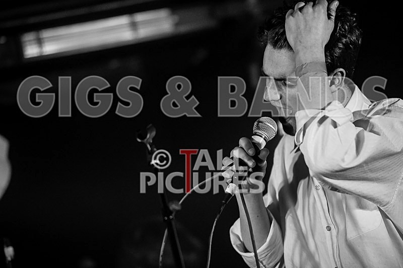 China Aster-69 - CHINA ASTER