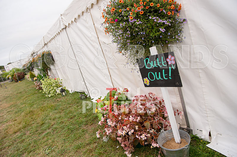 Jersey Live 2016_Scene-145 - JERSEY LIVE 2016_THE SCENE