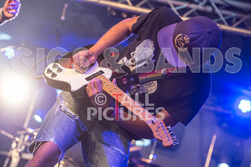 Static Alice-367 - STATIC ALICE