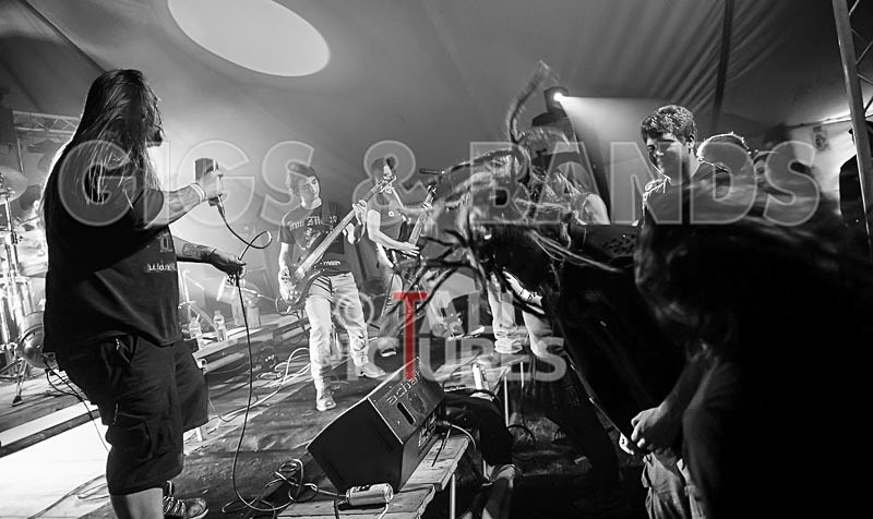 Stone Em All-71 - STONE EM ALL