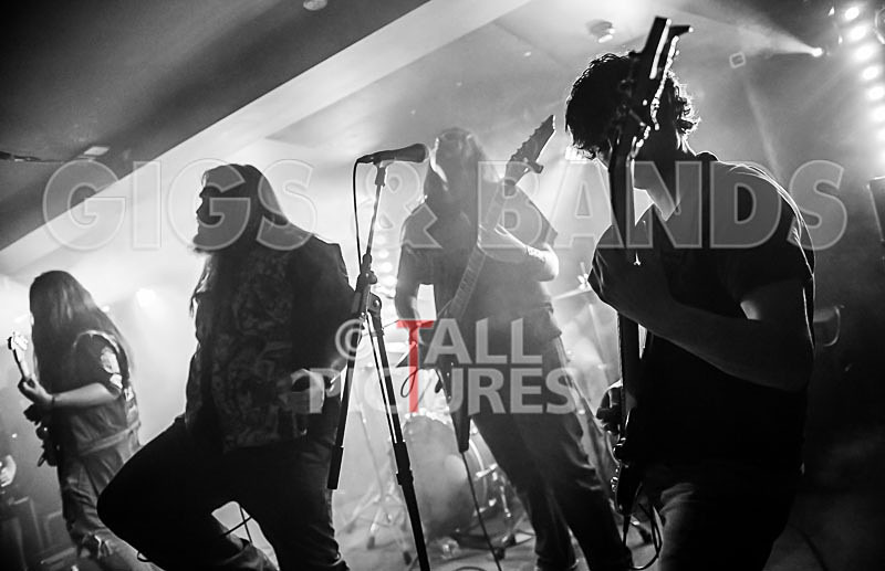 Stone Em All-175 - STONE EM ALL