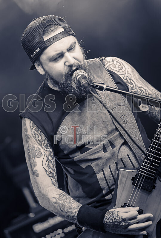 Demise of Sanity-259 - DEMISE OF SANITY