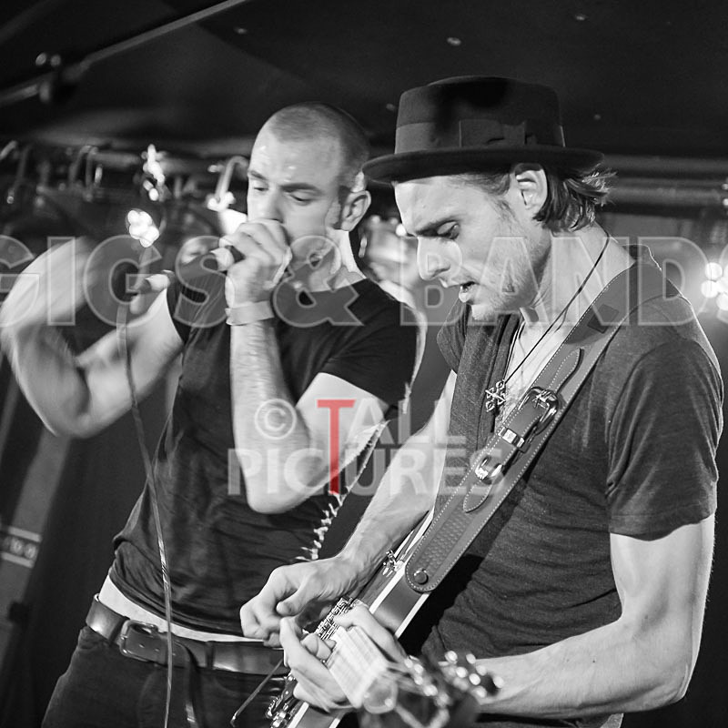 Heymoonshaker-29 - HEYMOONSHAKER