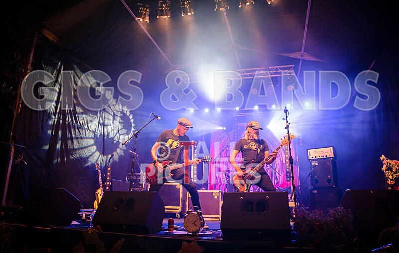 The Electric Shakes-194 - THE ELECTRIC SHAKES