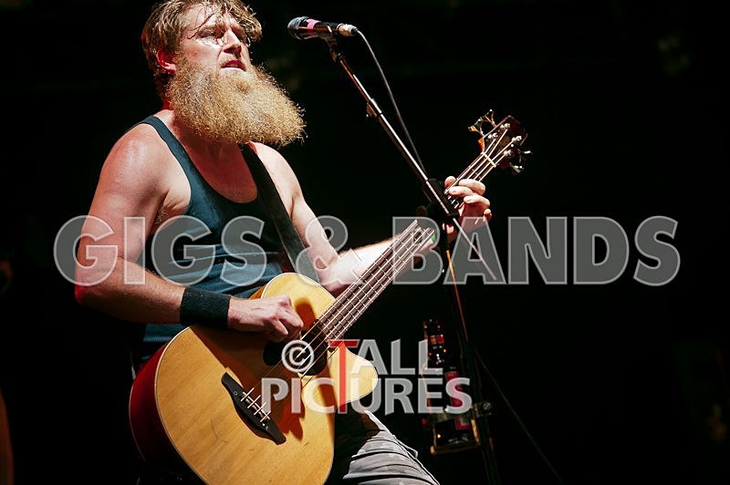 Hayseed Dixie-45 - HAYSEED DIXIE