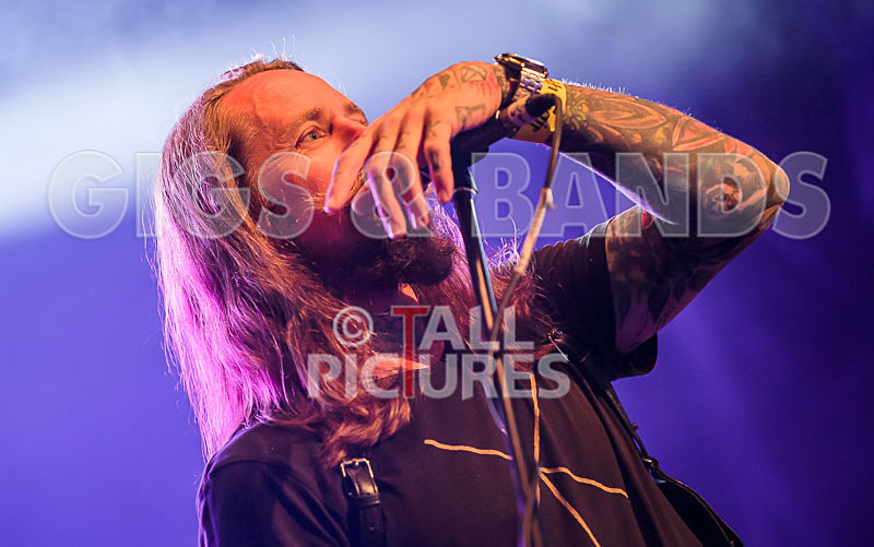 Vale Earth Fair 2017_SCENE-41 - VALE EARTH FAIR 2017_THE SCENE