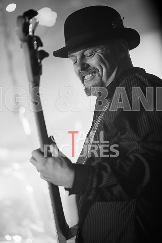 Peppered Ant Legs-209 - PEPPERED ANT LEGS