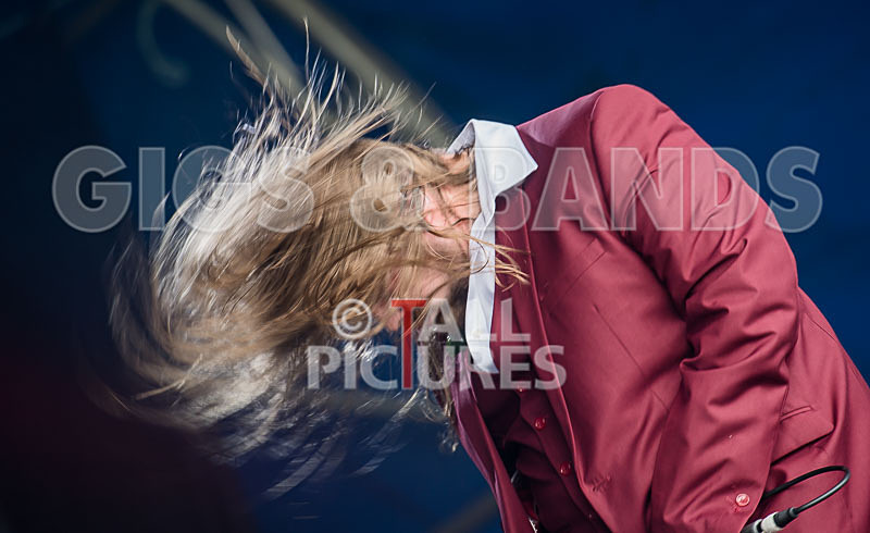 Stone Em All-290 - STONE EM ALL