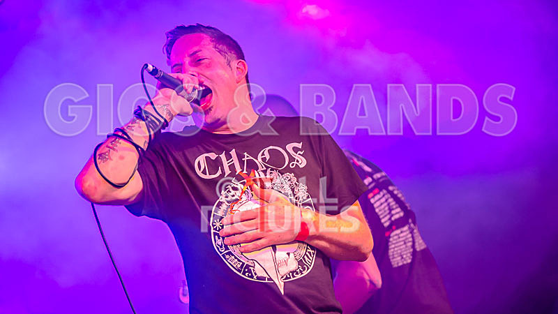 Spunge-175 - [spunge]