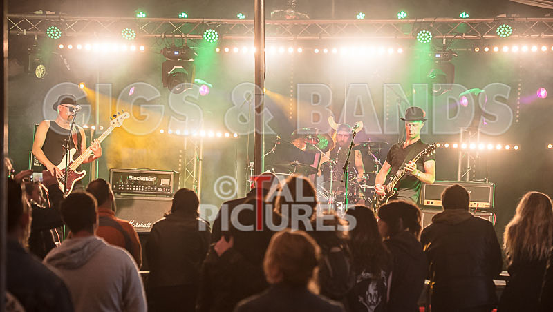 Peppered Ant Legs-226 - PEPPERED ANT LEGS