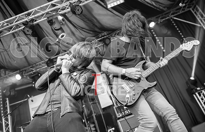 The Cryptics-69 - THE CRYPTICS