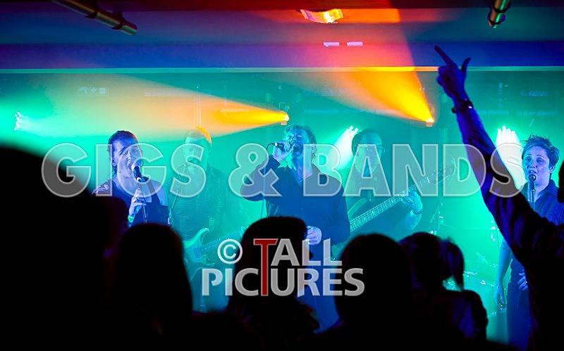 King Rat and the Soul Cats-127 - KING RAT & THE SOUL CATS