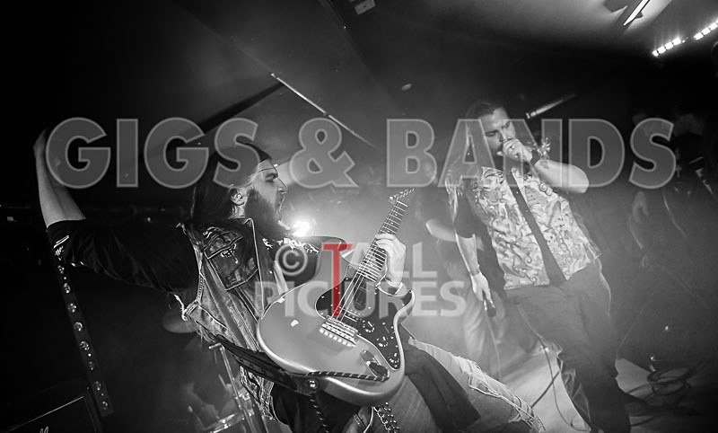 Stone Em All-172 - STONE EM ALL