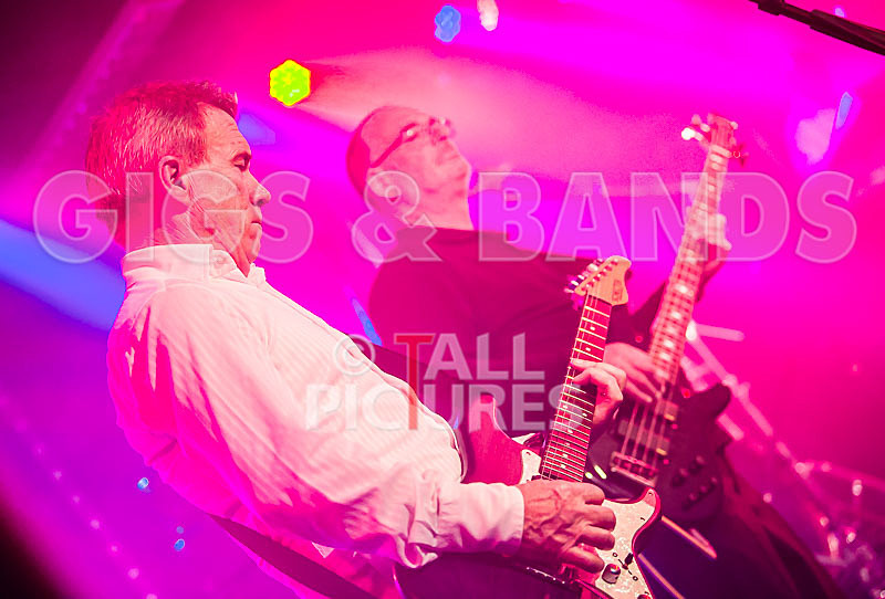 King Rat  the Soul Cats-417 - KING RAT AND THE SOUL CATS