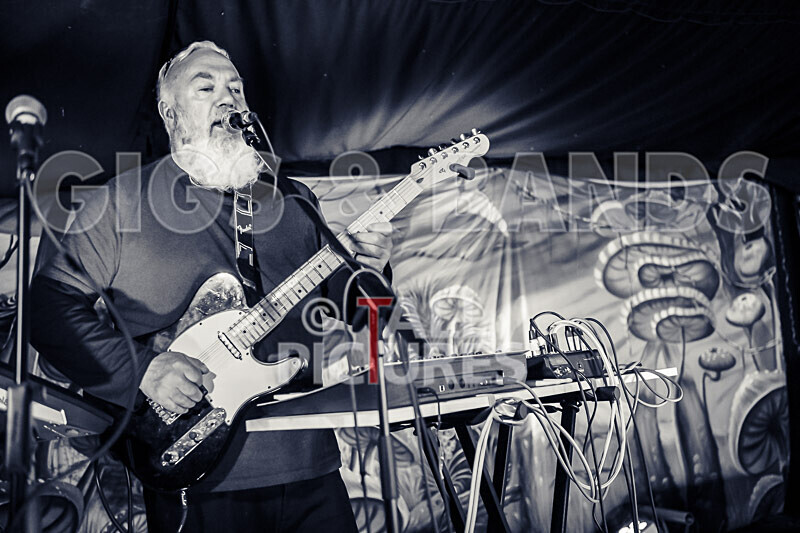 Its Own Animal-4 - ITS OWN ANIMAL