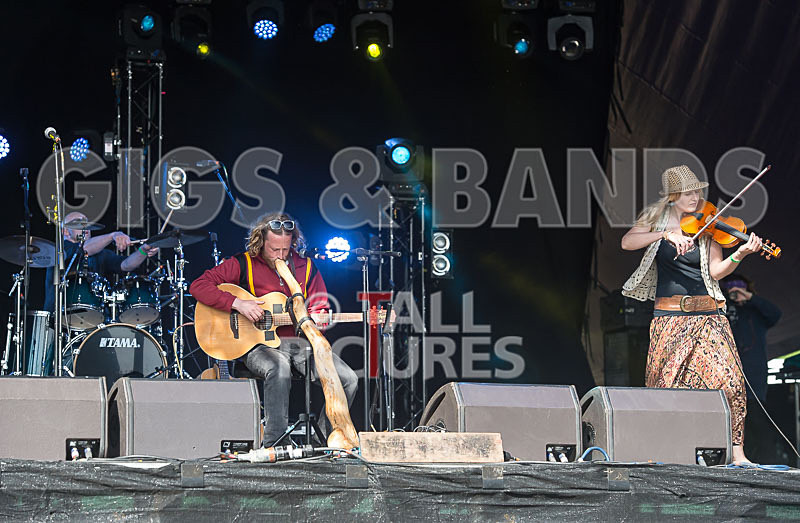 Buffalo Huddleston-422 - BUFFALO HUDDLESTON