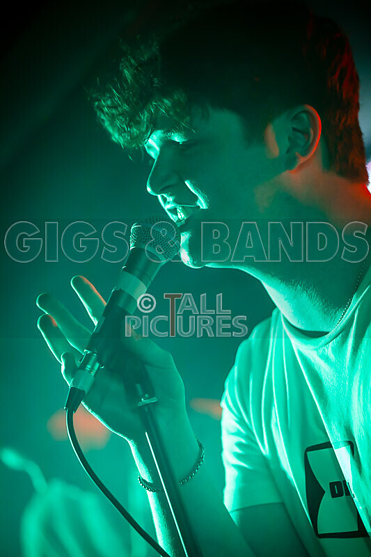 Black Dog-36 - BLACK DOG