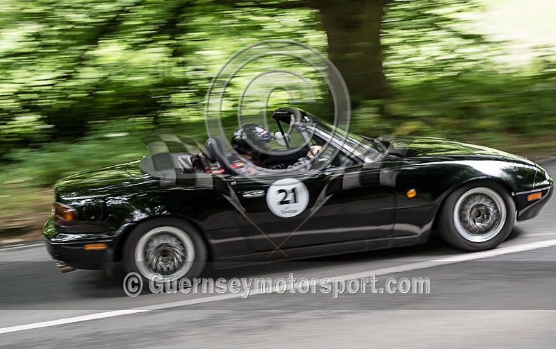 Heritage Charity Hillclimb_2014-252 - HERITAGE CHARITY HILL CLIMB 2014